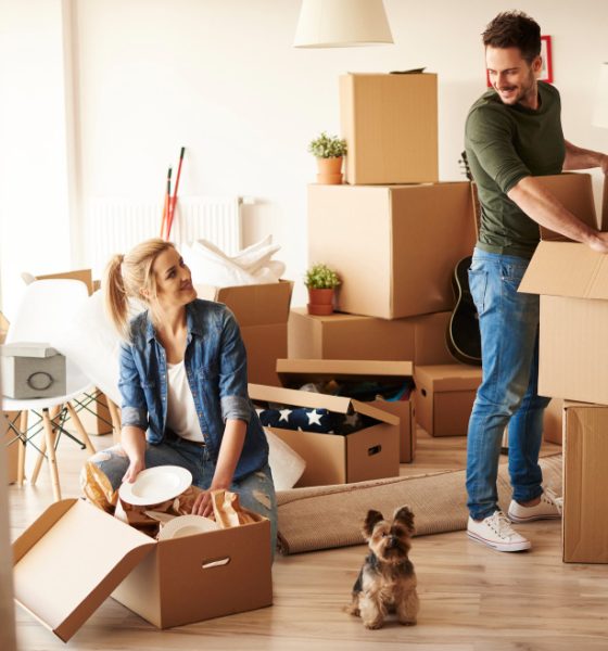 move in and out cleaning