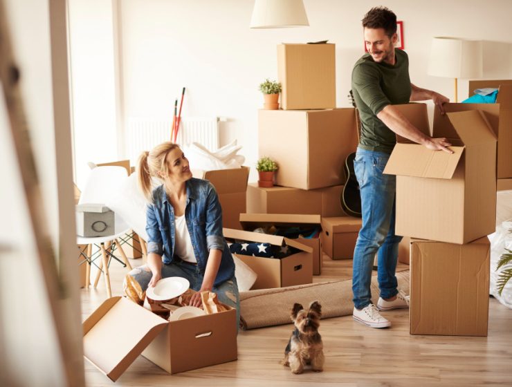 move in and out cleaning