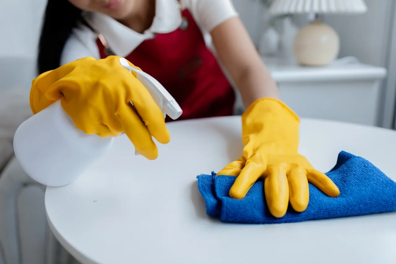 How Much are Cleaning Services in Ontario?